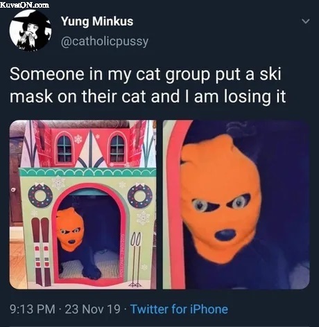 maskcat.jpg