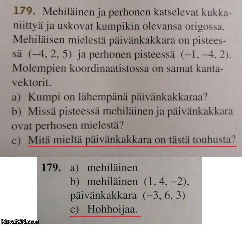 matematiikka_pitka_oppimaara.jpg