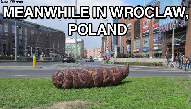 meanwhile_in_poland.jpg