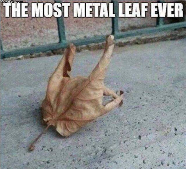 metal_leaf.jpg