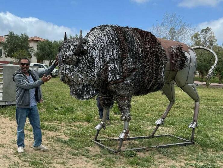 metalbull6.jpg