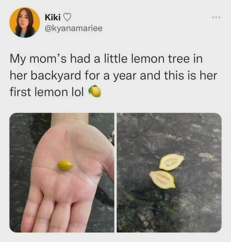 mini_lemon.jpg