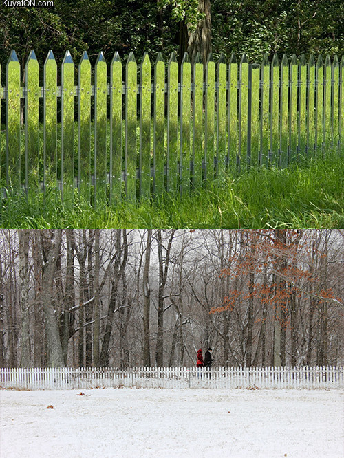 mirrored_fencing.jpg