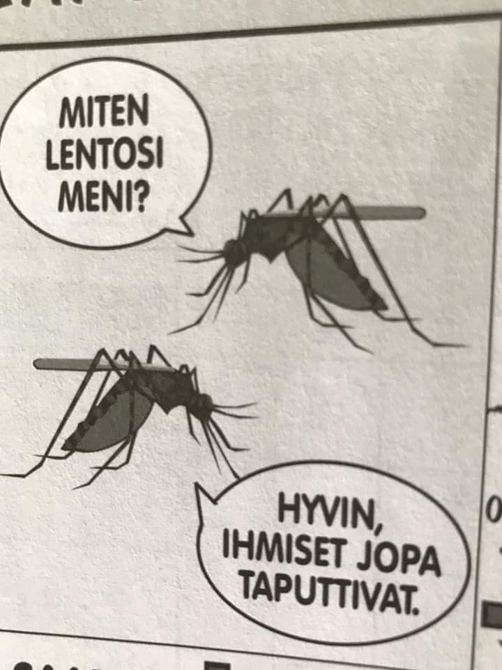 miten_lentosi_meni.jpg