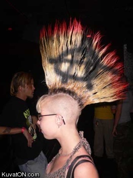 mohawk.jpg