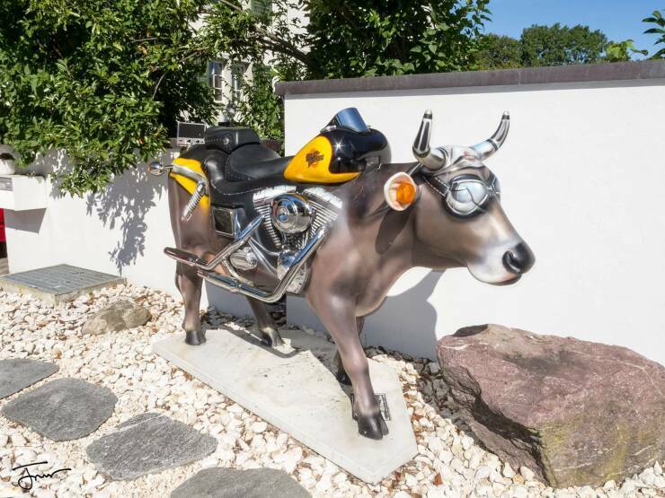 motorcow.jpg