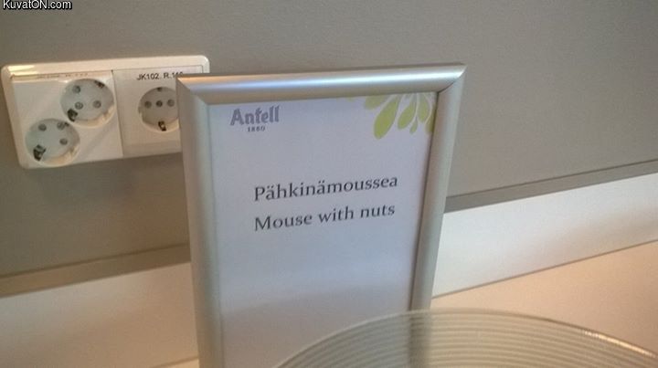 mouse_with_nuts.jpg