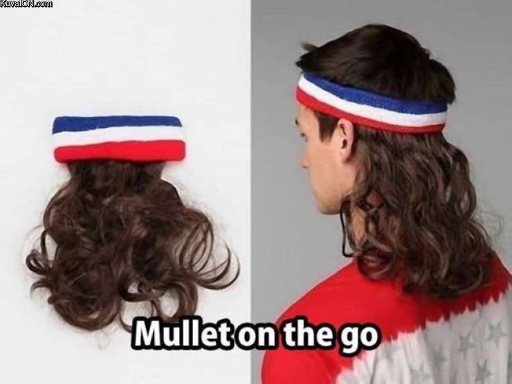 mullettia.jpg