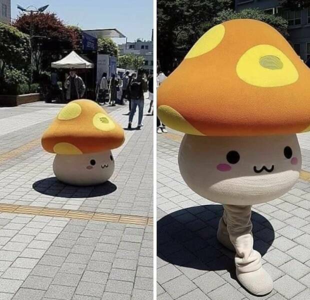 mushroomcostume.jpg