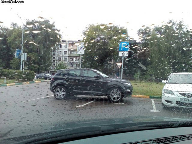 nain_parkkeeraa_idiootti.jpg