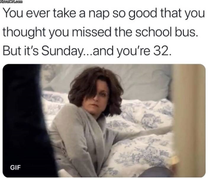 naps4.jpg