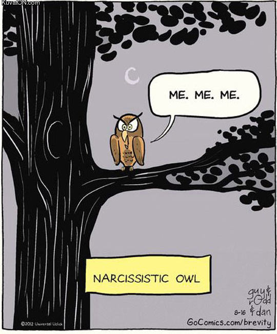 narcissistic_owl.jpg