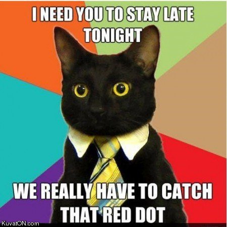 need_to_stay_late_cat.jpg