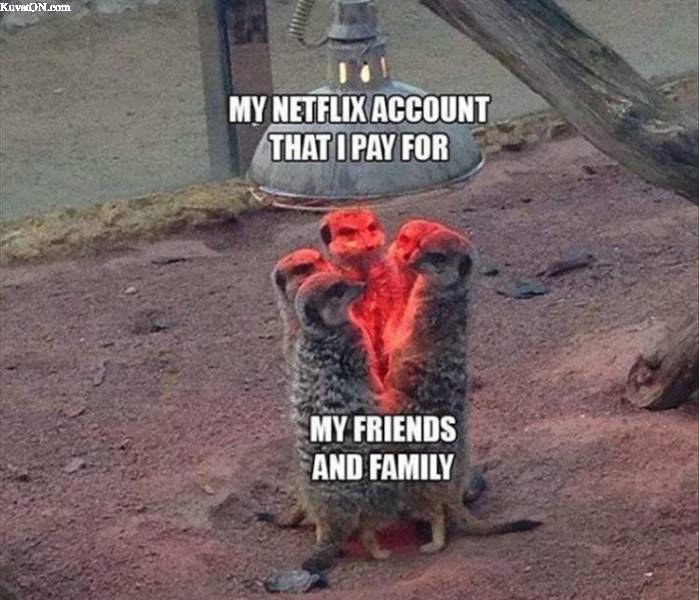 netflix_account.jpg