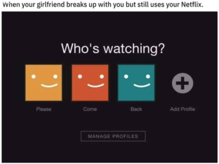 netflix_meme.jpg