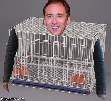 nicholascage.jpg