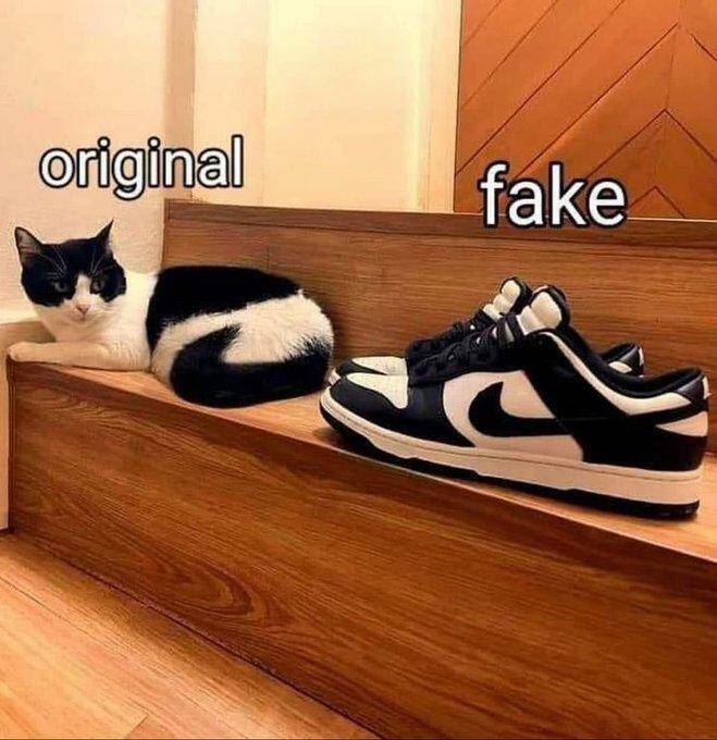 nikes.jpg