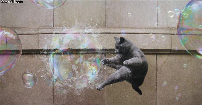 ninja_soap_bubble_cat.jpg