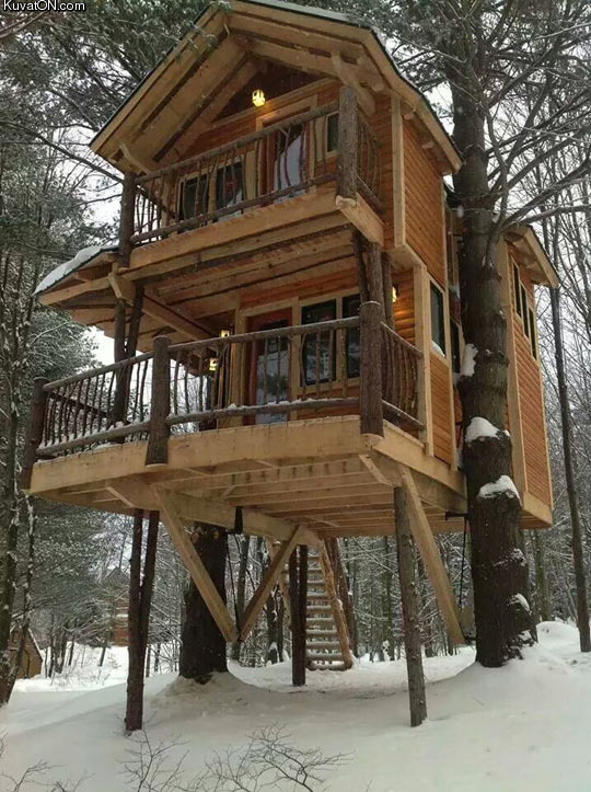 now_thats_a_tree_house.jpg