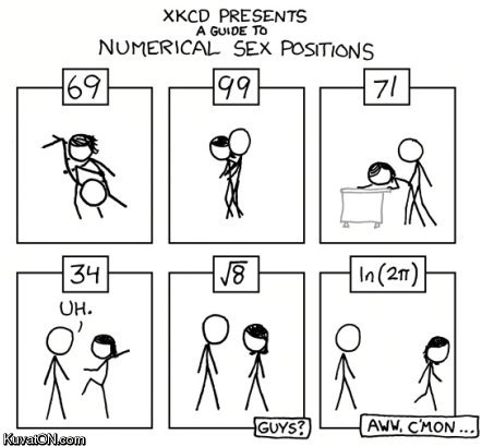 numerical_sex_positions_comic.jpg