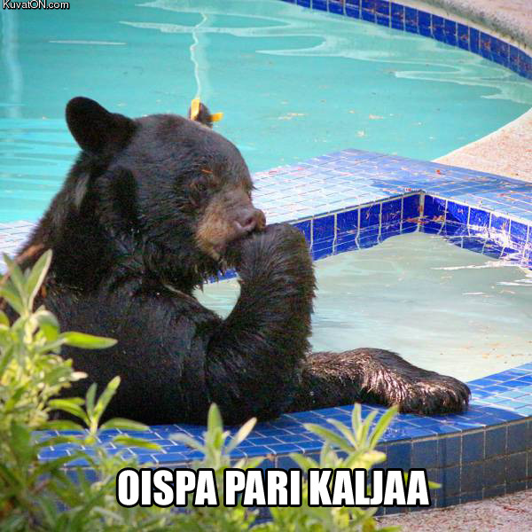 oispa_pari_kaljaa.jpg