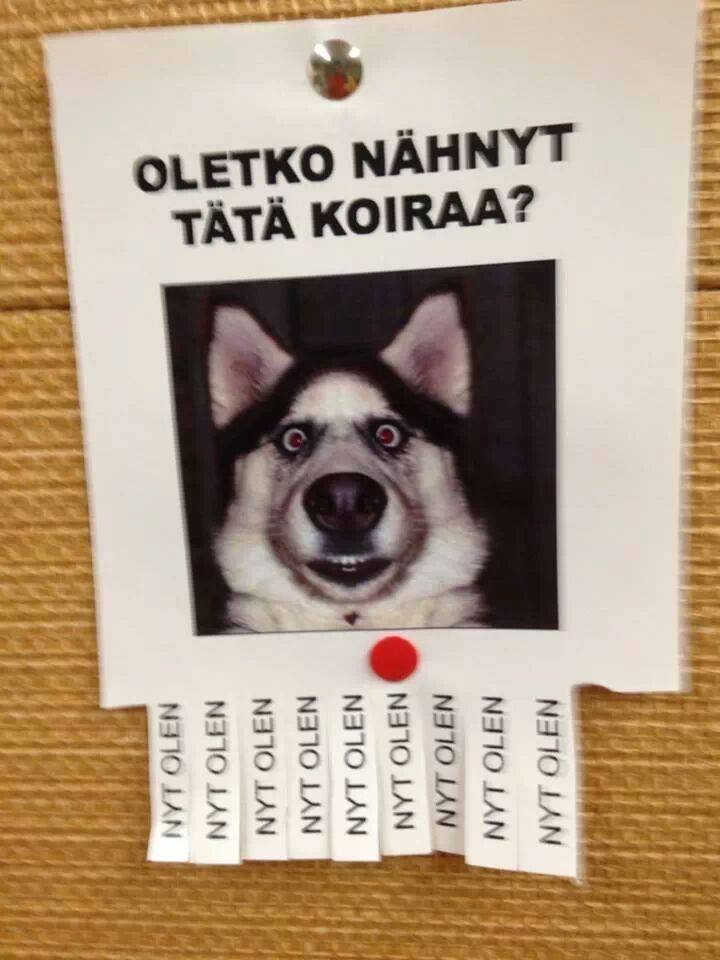 oletko.jpg