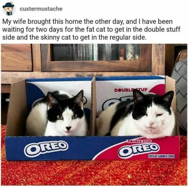 oreos.jpg