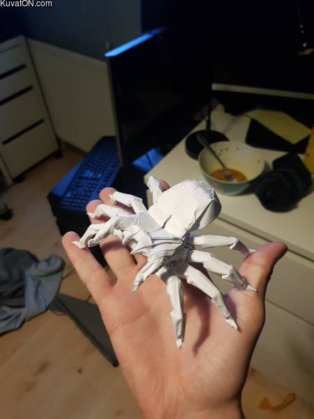 paperspider.jpg