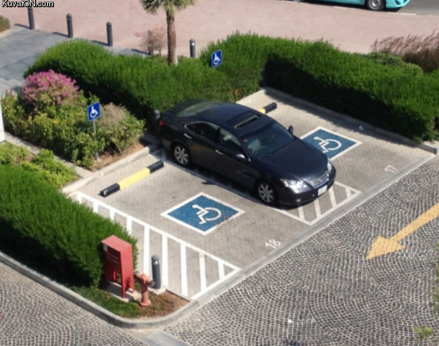 parking_like_a_idiot_2.jpg