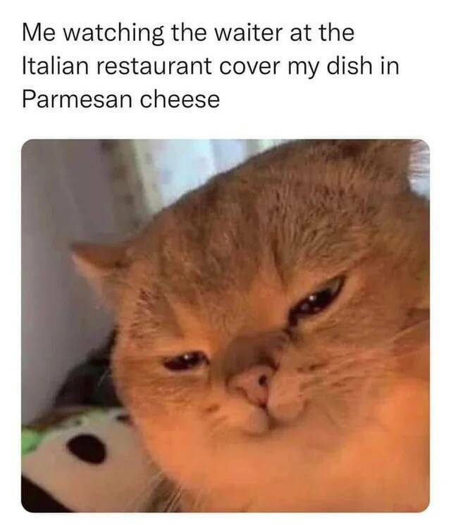 parmesancheese.jpg