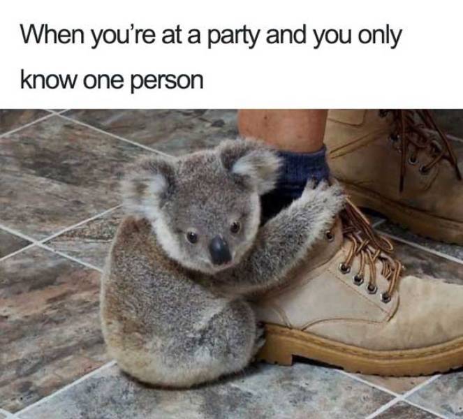 party_party.jpg