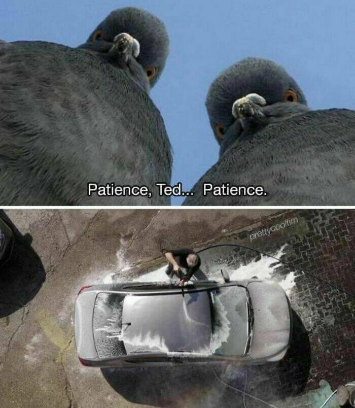 patience4.jpg