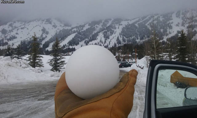 perfectsnowball.jpg