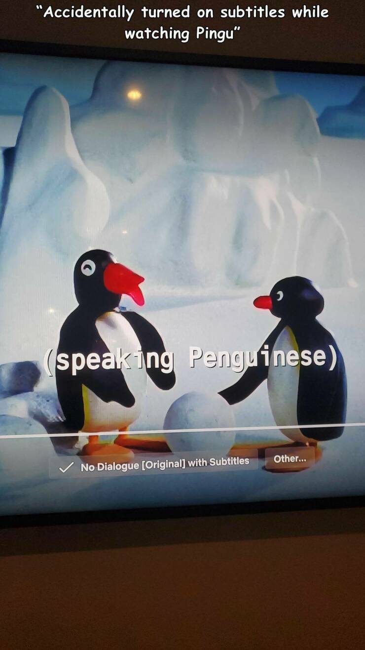 pingu03.jpg