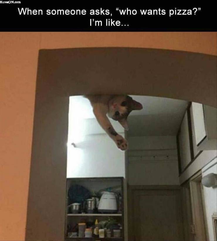 pizzaa_anyone.jpg