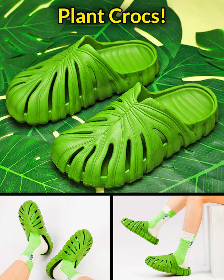 plantcrocs.jpg