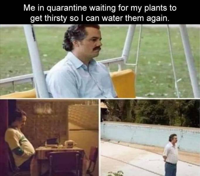 plants4.jpg