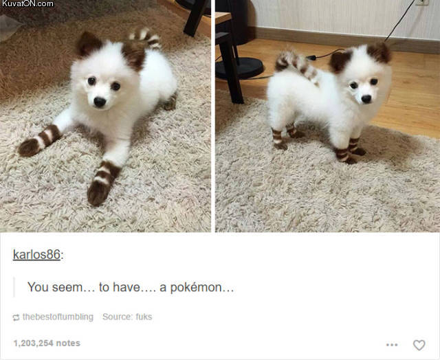 pokemon_doge.jpg