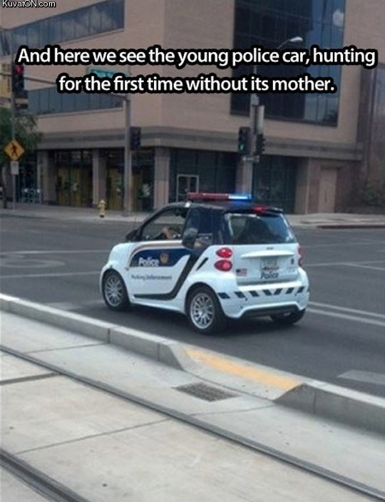 police_3.jpg