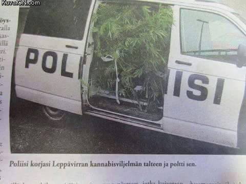 poliisi_hiisas.jpg