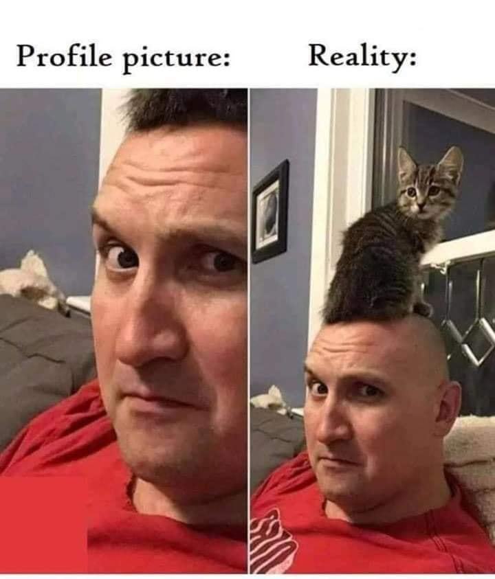 profile_vs_reality.jpg