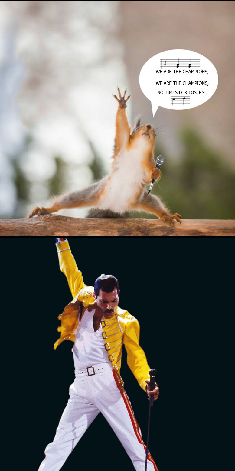 queensquirrel.jpg