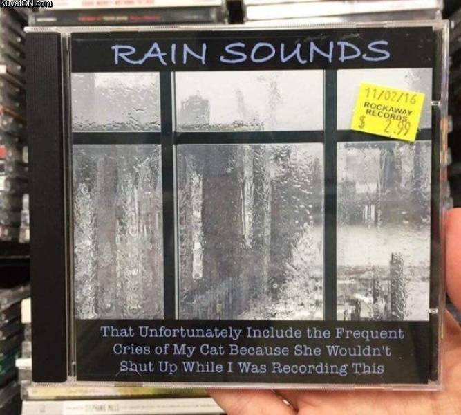 rainsounds.jpg