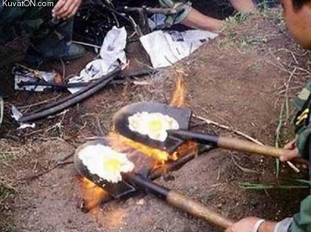 redneck_eggs.jpg