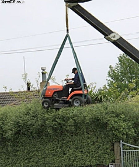 redneck_hedge_cutting.jpg