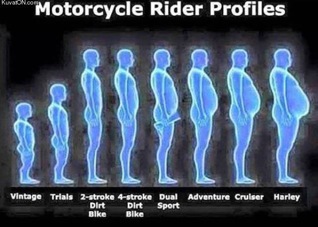 rider_profiles.jpg