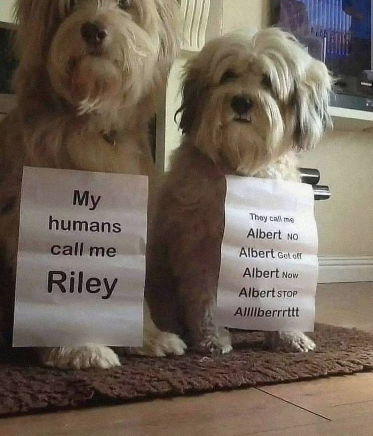 riley_and_albert.jpg