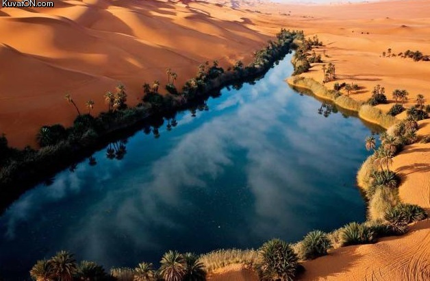 sahara_desert_oasis.jpg