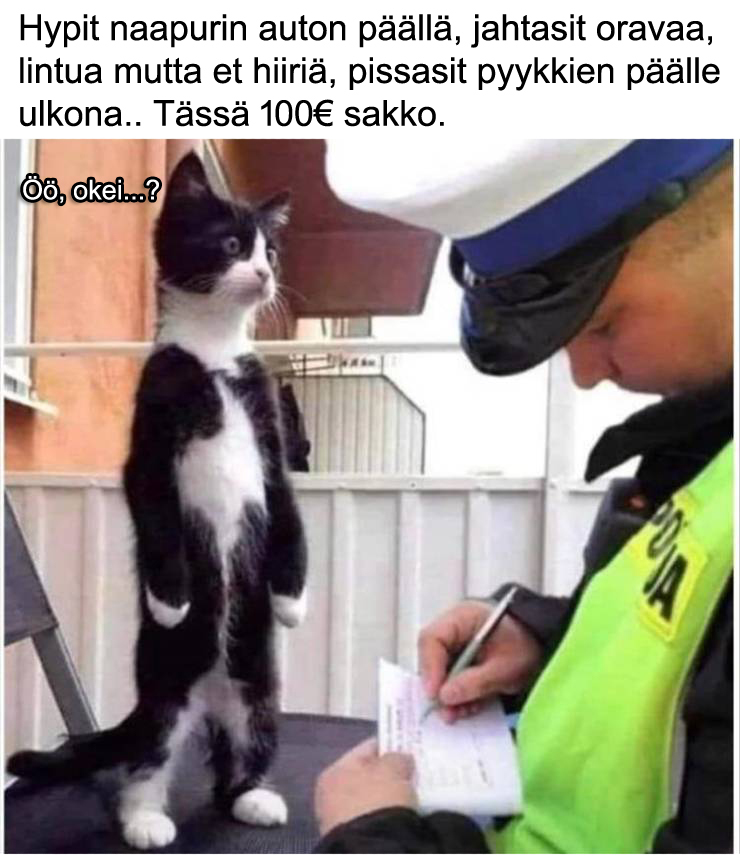 sakot_tuli.jpg