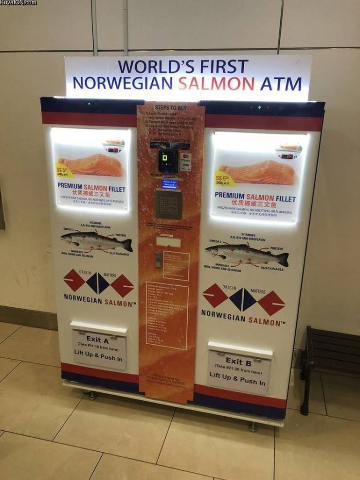 salmonatm.jpg